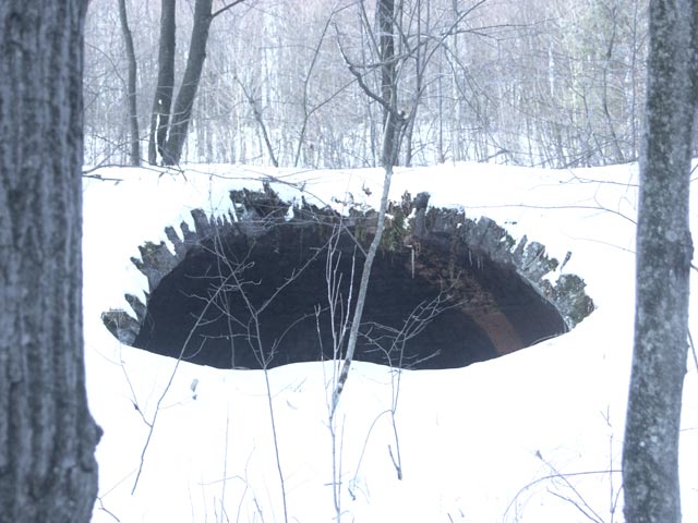 Wide view of multiple coke oven structures in the snow