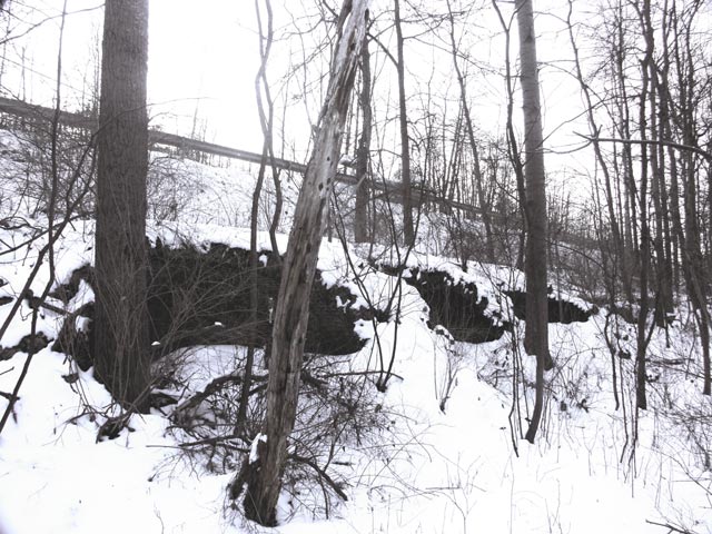 View of coke ovens directly adjacent to Walston Road