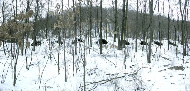 Panoramic view of the historic Walston coke ovens covered in snow