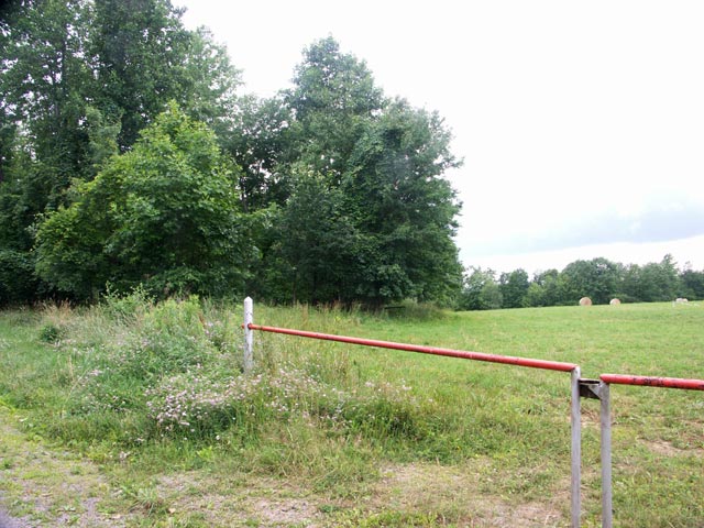 Laurel Ridge School view 1
