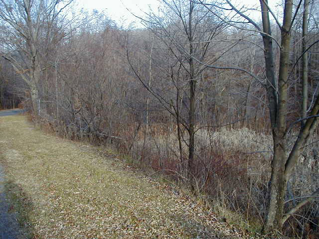 Current site where Rowley School once stood on Spotts Road